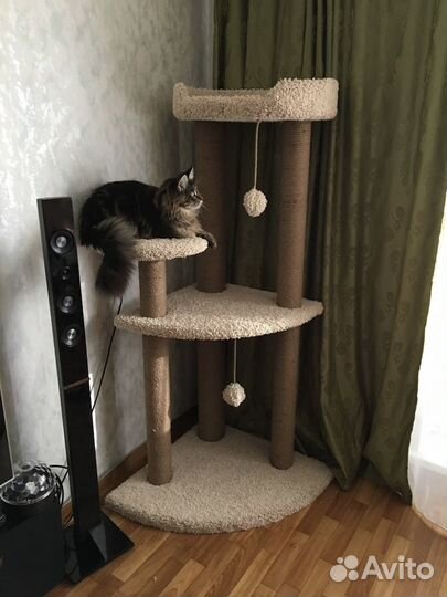 Домики для кошек, игровые комплексы, когтеточки