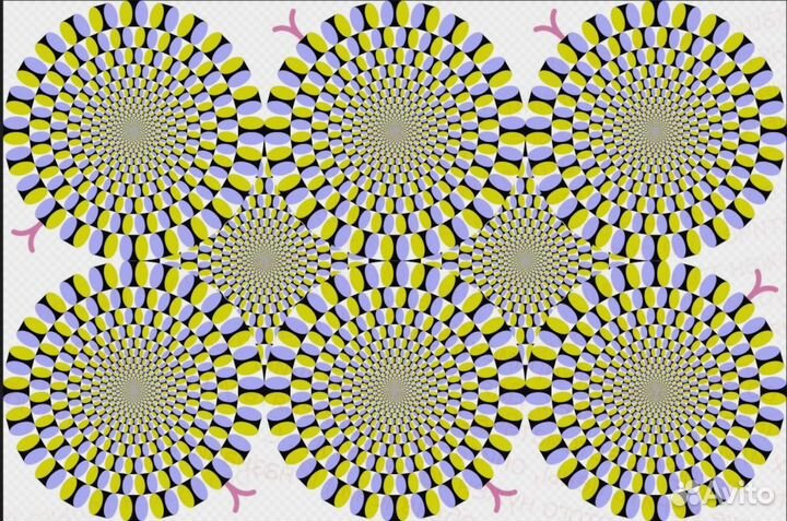 Водитель категория В на своём авто Еда бесплатно М