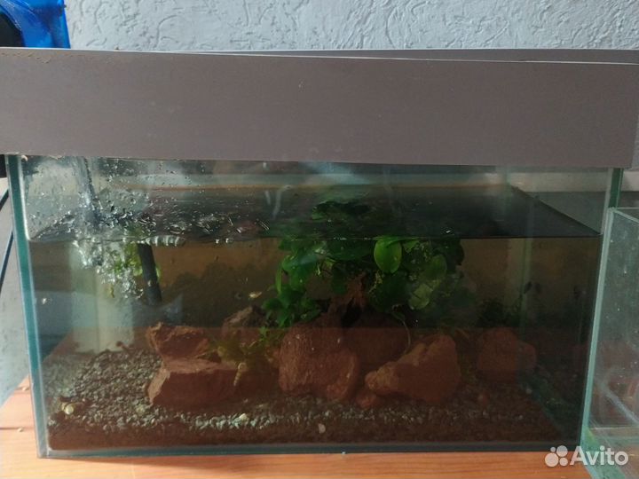 Аквариумы V 2, 30, 60, 80, 200, 670 литров