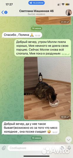 Зооняня, Догситтер, Передержка