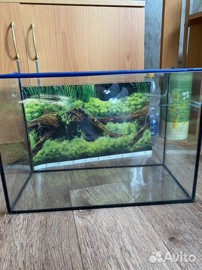 Аквариум
