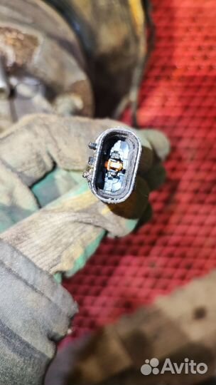 Кулак поворотный передний правый Hyundai Terracan