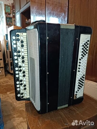 Баян тульский терка