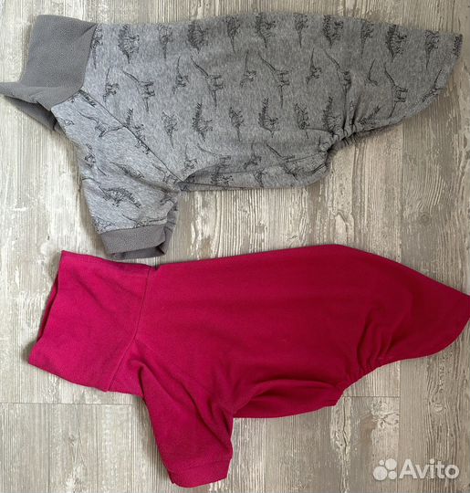 Комбинезон весенний на собаку уиппет плащ