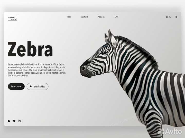 Веб дизайнер