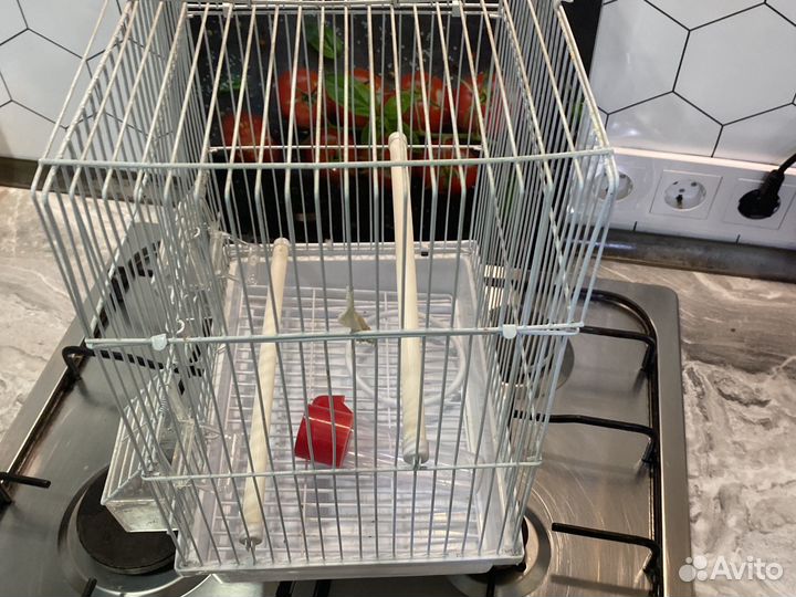 Клетка для попугая бу