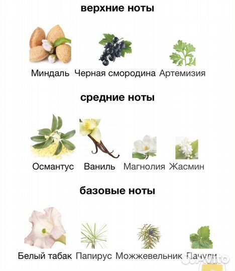 Amouage sunshine оригинал 3 ml