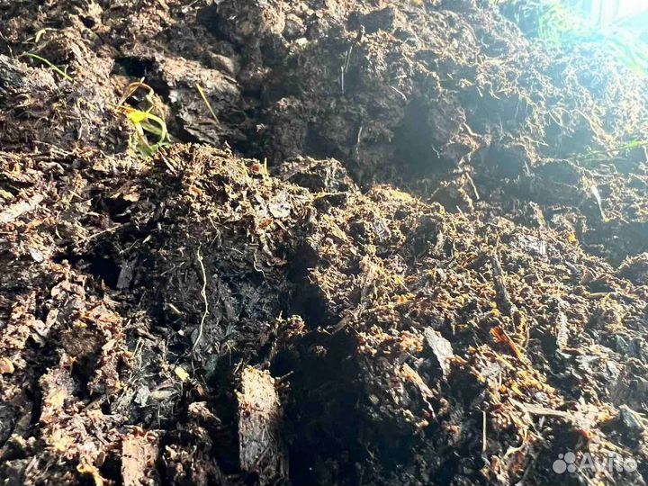 Купить грунт черный плодородный