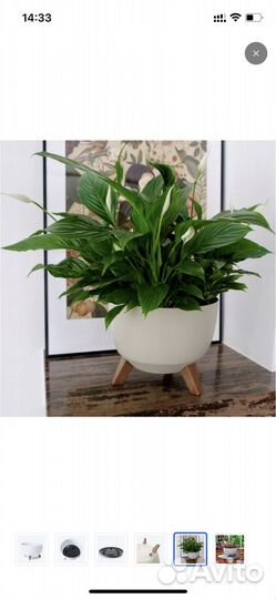 Кашпо для цветов напольное