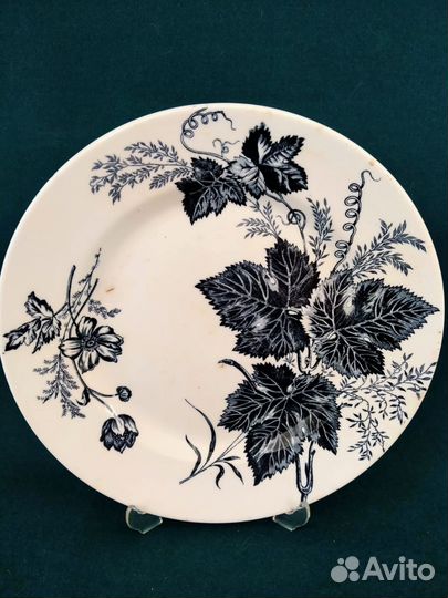 Тарелка Кузнецов в Твери