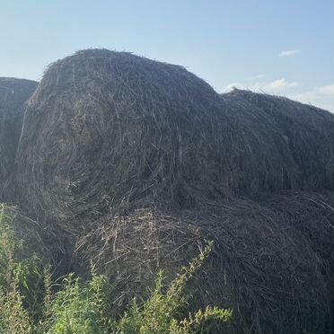 Сено