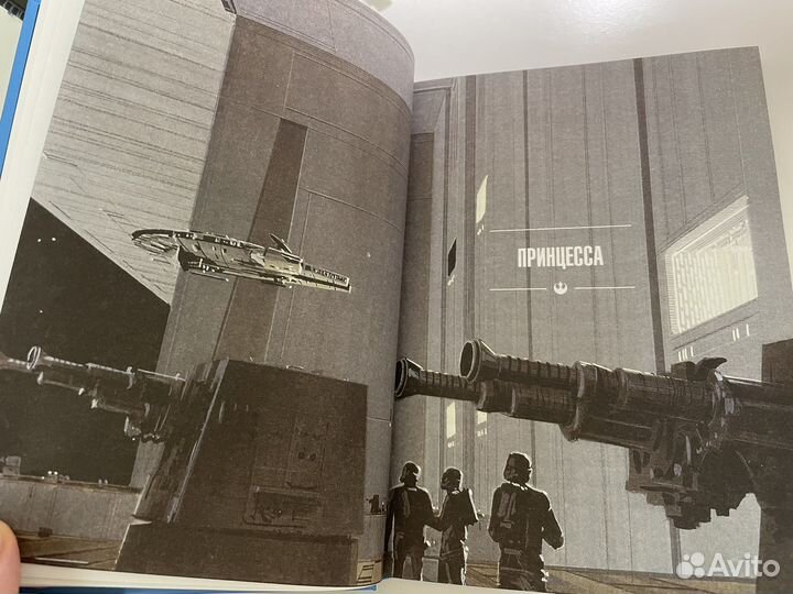 Принцесса, негодяй и мальчик с фермы (новая)