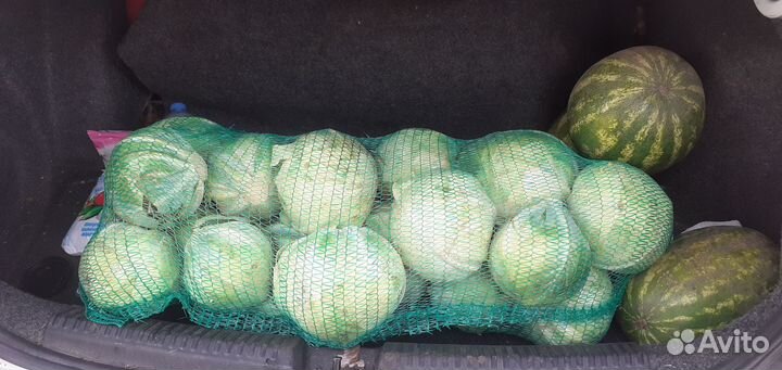 Продать овощи оптом