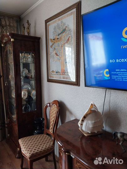 Большая морская раковина