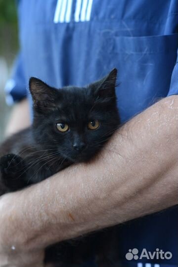 Чудо девочка в доьрые руки