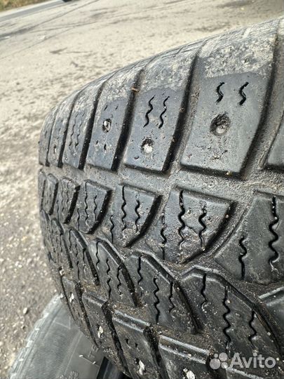 Tigar Sigura Stud 195/65 R15