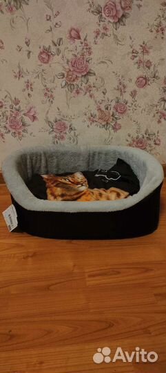 Лежанка для кошек