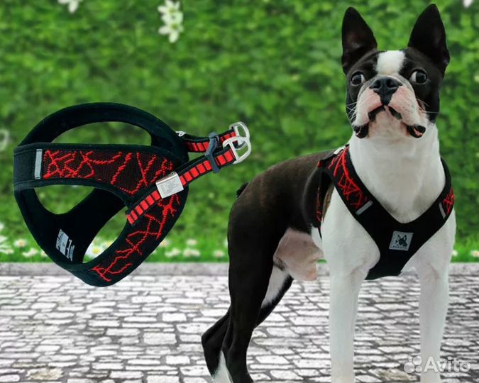 Шлея новая антистресс, S