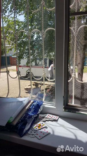 Волнистый попугай