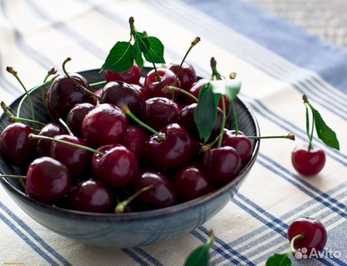 Саженцы черешни Мичуринка