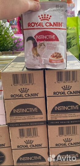 Влажный корм для кошек royal canin
