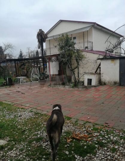 Свободного назначения, 150 м²