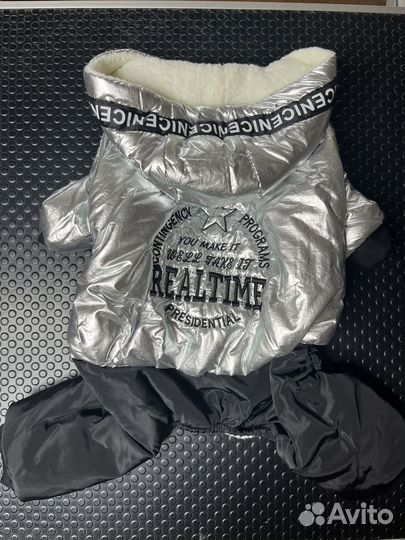 Одежда для собак мелких пород