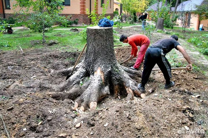 Благоустройство территории, вынос мусора