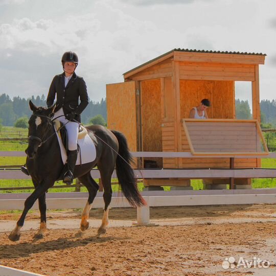 Конь под любителя