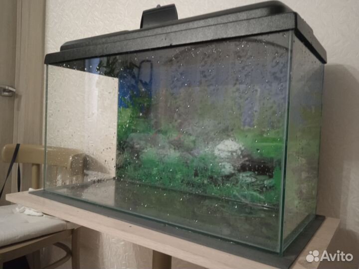 Аквариум