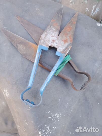 Ножницы для стрижки овец