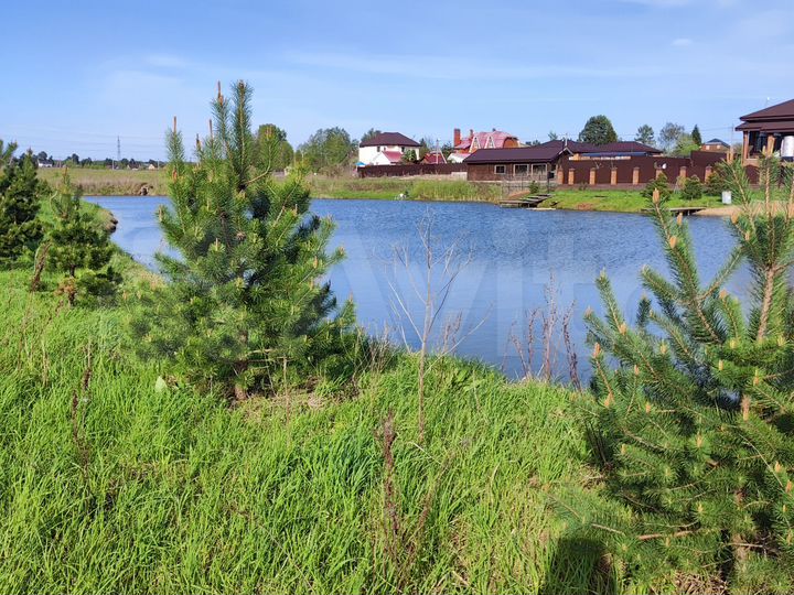 Участок 24,4 сот. (СНТ, ДНП)