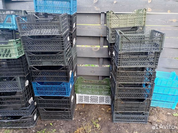 Пластиковые ящики для хранения