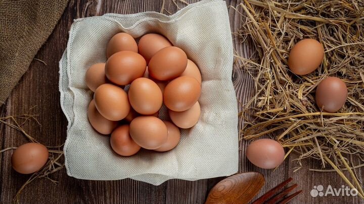 Домашние куриные яйца