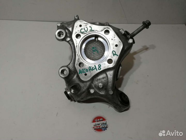 Кулак задний правый Honda Accord 8 K24A