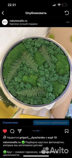 Круглое фитопанно