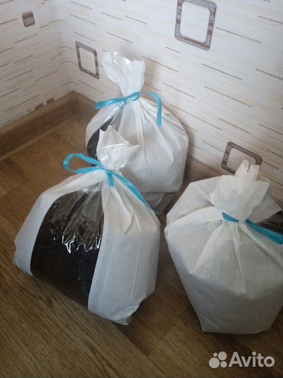 Иван чай (кипрей) Русский чай