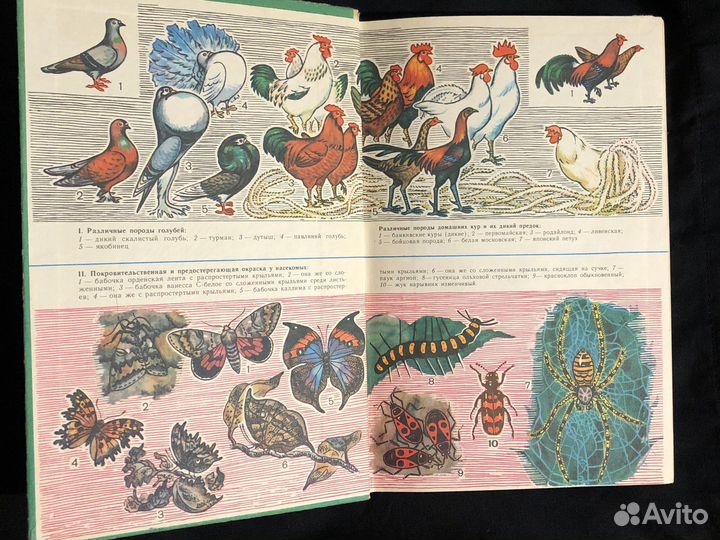 Учебник Общая биология 9-10 класс