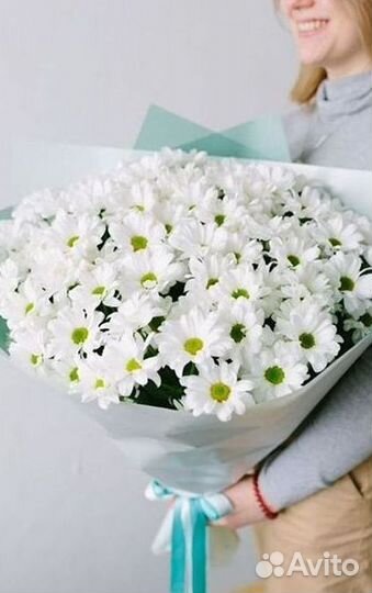 Хризантема Букет хризантем Доставка