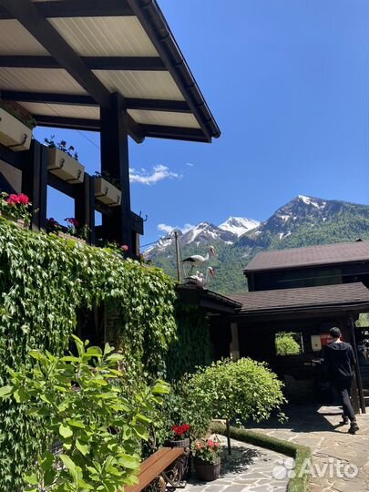 Тур дня Старый пакр, Абрау-Дюрсо,Лагонаки