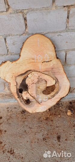 Слэбы векового ясеня