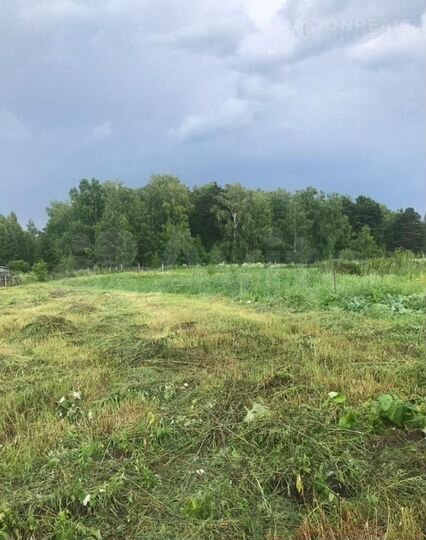 Участок 13,3 сот. (ИЖС)