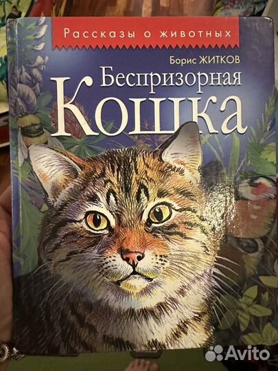 Книга