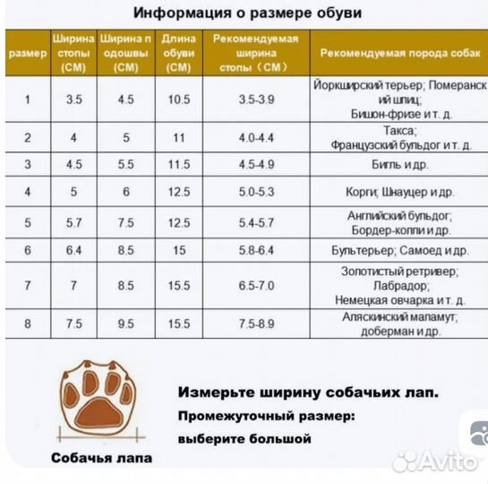 Обувь для собак мелких пород Truelove, р.1