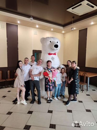 Поздравления белого мишки