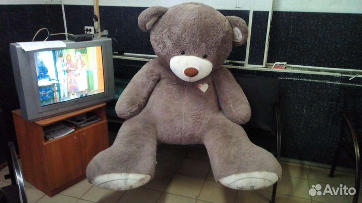 Большие плюшевые медведи