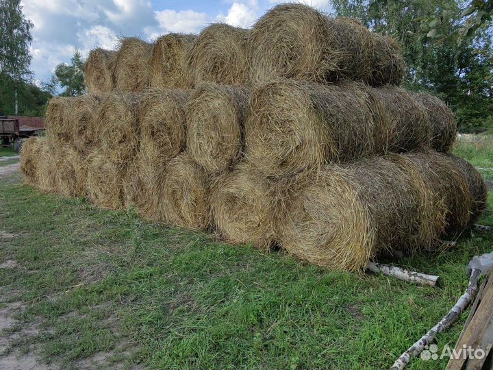 Сено солома в рулонах