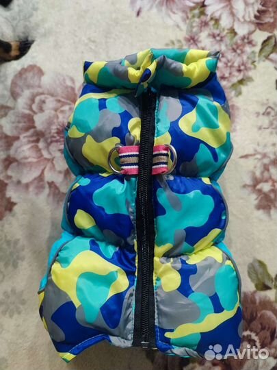 Одежда для маленьких пород собак