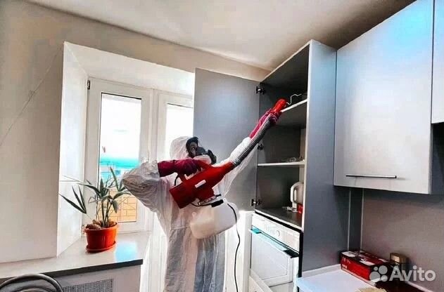 Уничтожение тараканов клопов Дезинфекция Травля