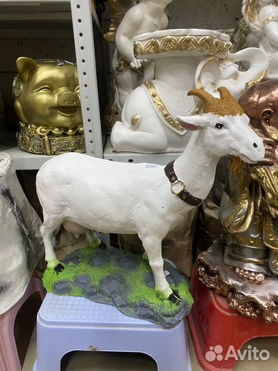 Козел на травке